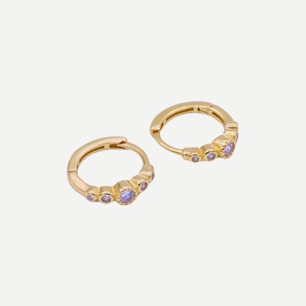 Tiara Gouden oorbellen met Steentje